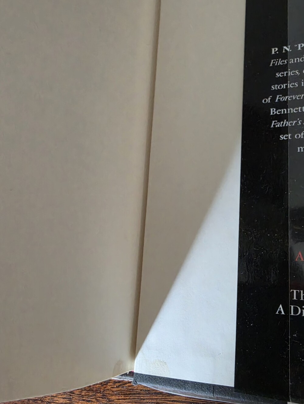 Lady Crymsyn: The Vampire Files by P.N. Elrod Hardcover Book 1st/1st - Picture 11 of 11